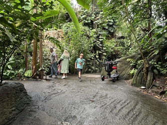 Randers Regnskov - Akvarium og Sydamerika