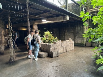 Randers Regnskov - Akvarium og Sydamerika