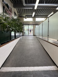 Randers Regnskov - Udendørs udstilling