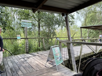 Randers Regnskov - Udendørs udstilling