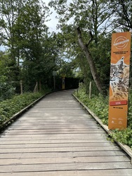 Randers Regnskov - Udendørs udstilling