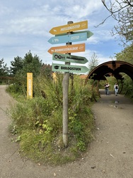 Randers Regnskov - Udendørs udstilling