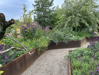 Randers Regnskov - Udendørs udstilling