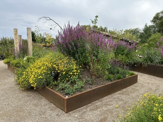 Randers Regnskov - Udendørs udstilling