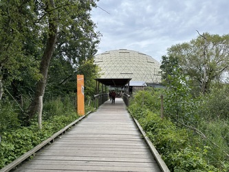 Randers Regnskov - Udendørs udstilling