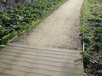 Nymose Park