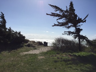 Svinø Strand
