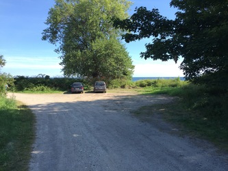 Oddermose Strand
