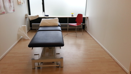 FysioDanmark Birkerød v. Morten V. Frederiksen