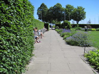 Hellerup Strandpark - Stauderhaven og Rosenhaven