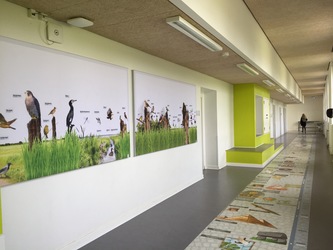 Hørsholm Skole -  1. Bygning A - Mellemtrin og dele af udskolingen.