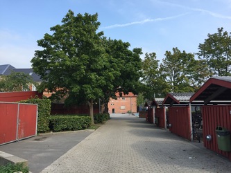 Hørsholm Skole -  3. Bygning B - Kontor / administration