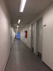 Liseborg Centret - 1. Liseborghallen