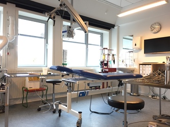 Øre-næse-halsklinikken i Hørsholm
