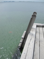 Klinten Strand og Bypark - Strandadgang
