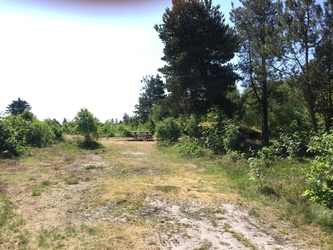 Kongenshus Mindepark -  Shelterplads