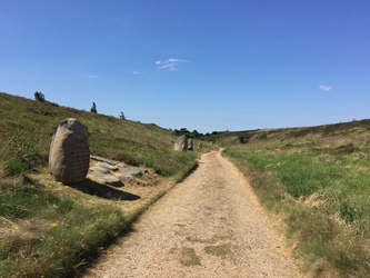 Kongenshus Mindepark -  Gåtur langs mindestenene