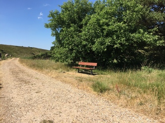 Kongenshus Mindepark -  Gåtur langs mindestenene