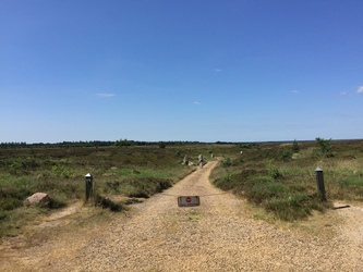 Kongenshus Mindepark -  Gåtur langs mindestenene