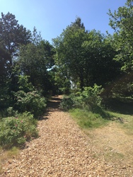 Kongenshus Mindepark -  Gåtur langs mindestenene