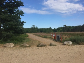 Birkesø -  Badesø og picnicområde