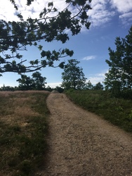 Birkesø -  Badesø og picnicområde