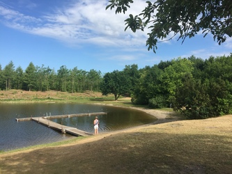 Birkesø -  Badesø og picnicområde