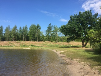 Birkesø - Badebro