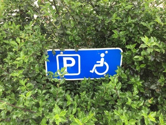 Borgvold Park og Legeplads