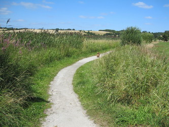 Rødding Sø