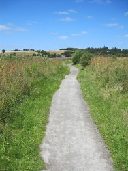 Rødding Sø