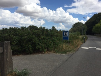 Stilling Sø - Badesø og picnicområde