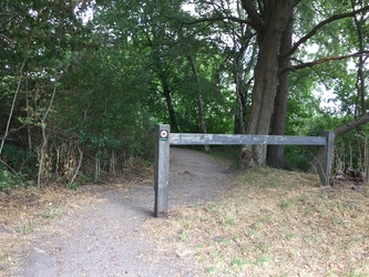 Stilling Sø - Badesø og picnicområde
