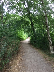 Stilling Sø - Badesø og picnicområde