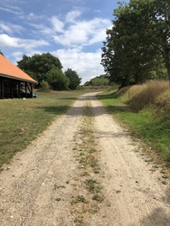 Hvolris Jernalder - 3. Jernalderlandsbyen