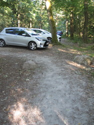 Undallslund skov - Picnicområde ved Bredemose