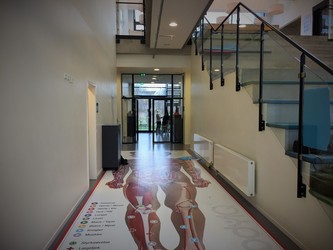 Sophienborgskolen - 2. Mellemtrin