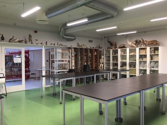 Kornmarkskolen, Afd. Skævinge - 4. Administration, bibliotek og faglokaler (Bygning C)