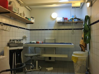 Skolen ved Skoven - 1. Bygning H