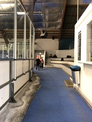 Gentofte Sportspark - Ishal 1