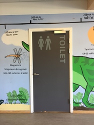 Grønnevang Skole, Afd. Østervang - 1. Blok A og B - Klasse- og undervisningsrum