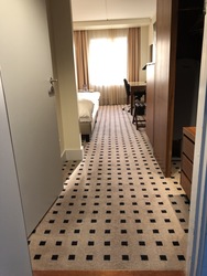 Radisson Blu Scandinavia Hotel - Dobbeltzimmer