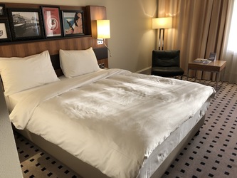 Radisson Blu Scandinavia Hotel - Dobbeltzimmer