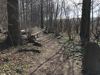 Glavendruplund - Gåtur, bålhytte og picnicpladser