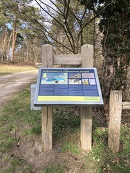 Fugletårn ved Gyldensteen Strand - Egensehytten