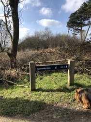 Fugletårn ved Gyldensteen Strand - Egensehytten