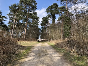 Fugletårn ved Gyldensteen Strand - Egensehytten