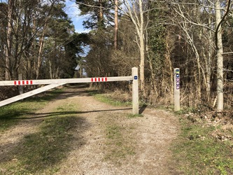 Fugletårn ved Gyldensteen Strand - Egensehytten