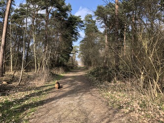 Fugletårn ved Gyldensteen Strand - Egensehytten
