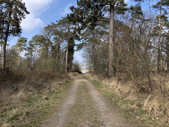 Fugletårn ved Gyldensteen Strand - Egensehytten